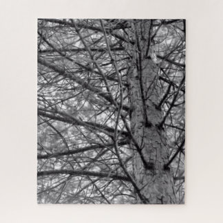 De Tak van de Boom van de pine in Zwart en Wit Legpuzzel
