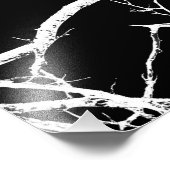 De takken van de boom op zwarte achtergrond foto afdruk (Hoek)