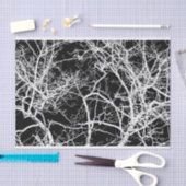 De takken van de boom op zwarte achtergrond tissuepapier (Craft)