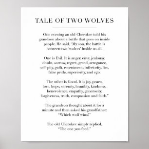 De Tale van Twee Wolven Poster