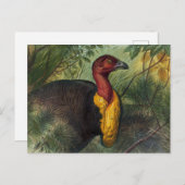 De Talegalla van Joseph Wolf Briefkaart (Voorkant / Achterkant)