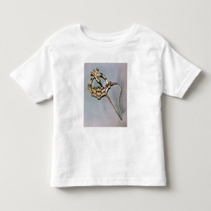 De Tara Brooch uit Bettystown, County Meath (ca Kinder Shirts
