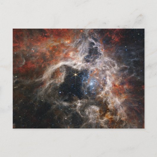 De Tarantula Nebula | NIRCam | JWST Briefkaart (Voorkant)