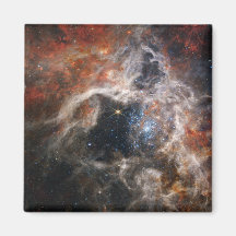 De Tarantula Nebula | NIRCam | JWST