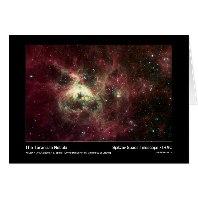 De Tarantula Nebula - Spitzer Space Telescope - I (Voorkant Horizontaal)