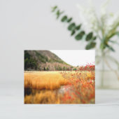 De Tarn Briefkaart (Staand voorkant)