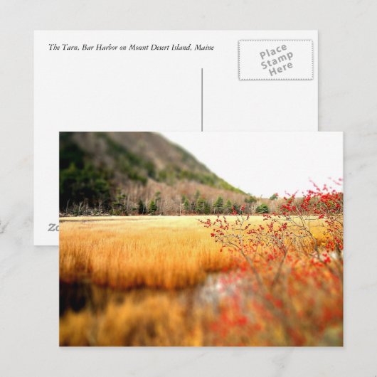 De Tarn Briefkaart (Voorkant / Achterkant)