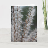 De Tarwe van de winter Kaart (Voorkant)