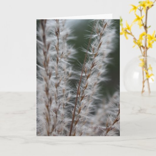 De Tarwe van de winter Kaart (Gele Bloem)