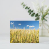 De Tarwe van Kansas Briefkaart (Staand voorkant)