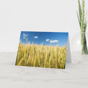 De Tarwe van Kansas Kaart