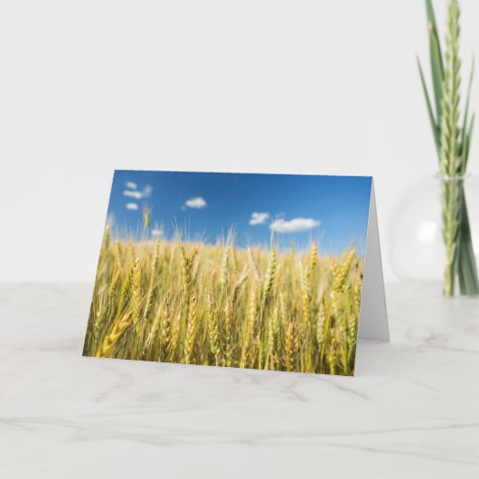 De Tarwe van Kansas Kaart (Voorkant)