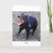 De Tasmaanse Humor van de Verjaardag van de Duivel Kaart (Achterkant)