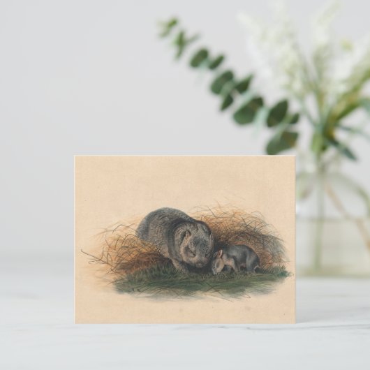 De Tasmaanse weddenschap van Joseph Wolf Briefkaart (Staand voorkant)