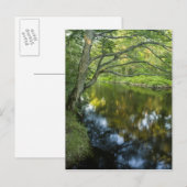 De Taunton rivier in Bridgewater, Briefkaart (Voorkant / Achterkant)