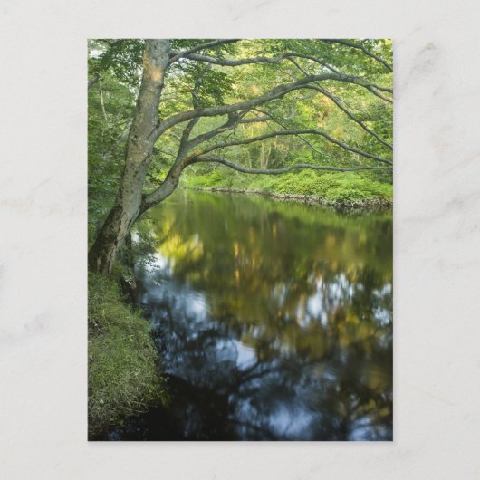De Taunton rivier in Bridgewater, Briefkaart (Voorkant)