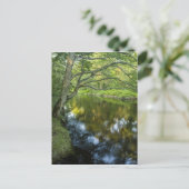 De Taunton rivier in Bridgewater, Briefkaart (Staand voorkant)