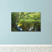 De Taunton rivier in Bridgewater, Canvas Afdruk (Insitu (Houten vloer))