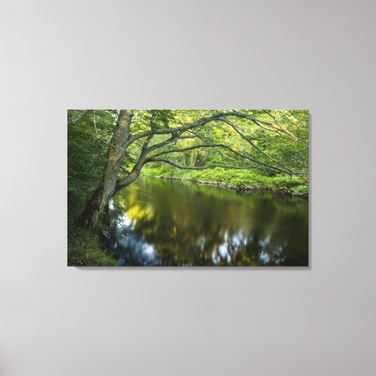 De Taunton rivier in Bridgewater, Canvas Afdruk (Voorkant)