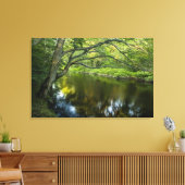De Taunton rivier in Bridgewater, Canvas Afdruk (Insitu (Woonkamer))