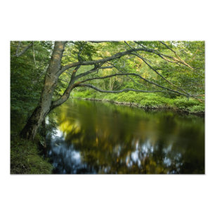 De Taunton rivier in Bridgewater, Foto Afdruk