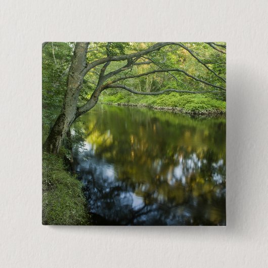 De Taunton rivier in Bridgewater, Vierkante Button 5,1 Cm (Voorkant)