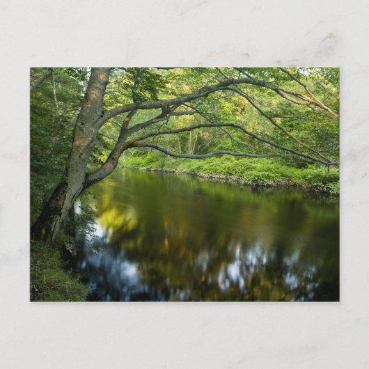 De Tauntonrivier in Bridgewater, 2 Briefkaart (Voorkant)