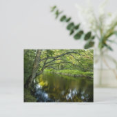 De Tauntonrivier in Bridgewater, 2 Briefkaart (Staand voorkant)