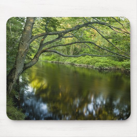 De Tauntonrivier in Bridgewater, 2 Muismat (Voorkant)