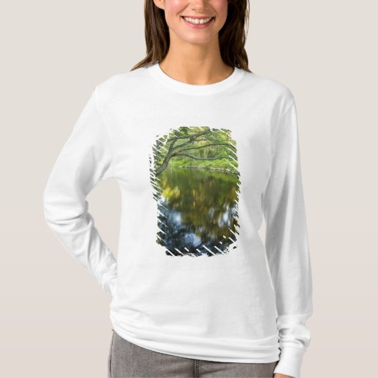 De Tauntonrivier in Bridgewater, T-shirt (Voorkant)
