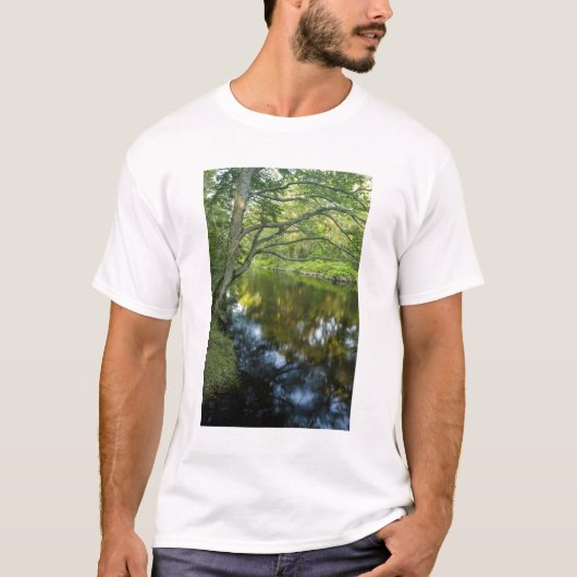 De Tauntonrivier in Bridgewater, T-shirt (Voorkant)
