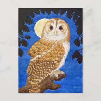 De Tawny Owl Briefkaart