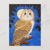 De Tawny Owl Briefkaart (Voorkant)