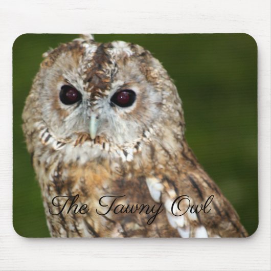 De Tawny Owl Muismat (Voorkant)