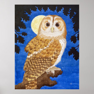 De Tawny Owl Poster