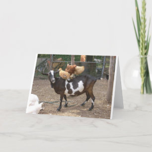 De taxi van de geit kaart