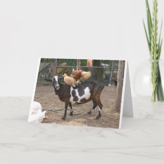 De taxi van de geit kaart (Voorkant)