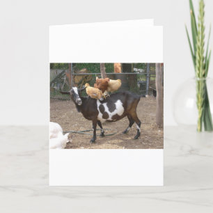 De taxi van de geit kaart