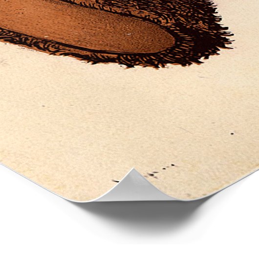 De Teddy Bear Poster (Hoek)