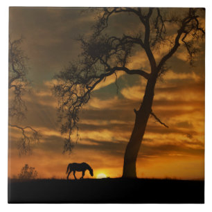 De Tegel van de Kunst van het paard Tegeltje