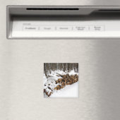 De Tegel van het logboek in de Magnet van Bossen (Insitu (Vaatwasser))