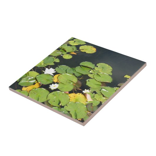De Tegel van waterlelies Tegeltje (Zijkant)
