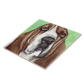 De Tegels van de Kunst van Basset Hound Tegeltje (Zijkant)
