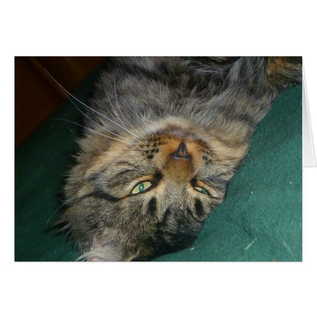 De tekening (Voorkant Horizontaal)