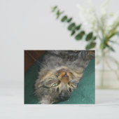 De tekening briefkaart (Staand voorkant)