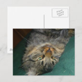 De tekening briefkaart (Voorkant / Achterkant)