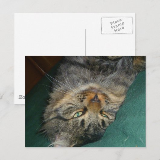 De tekening briefkaart (Voorkant / Achterkant)