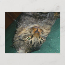 De tekening briefkaart