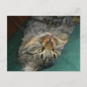 De tekening briefkaart (Voorkant)