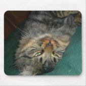 De tekening muismat (Voorkant)